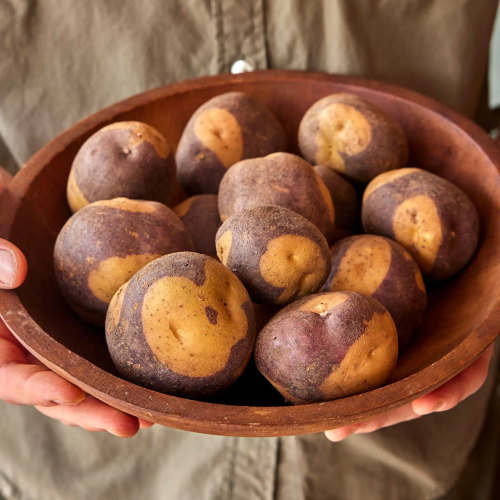 Masquerade Potato Tubers