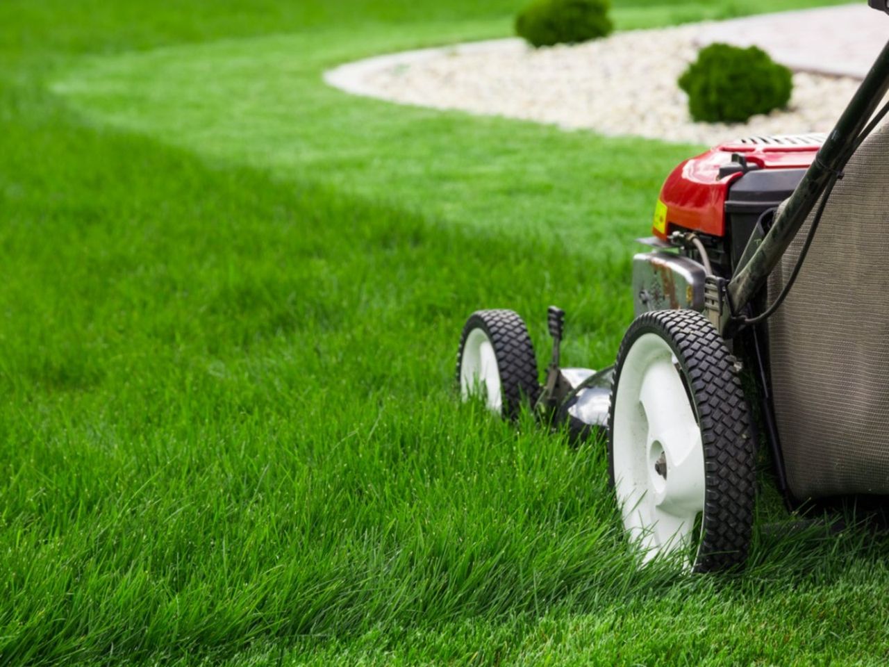 Lawn Mower Cutting Green Grass