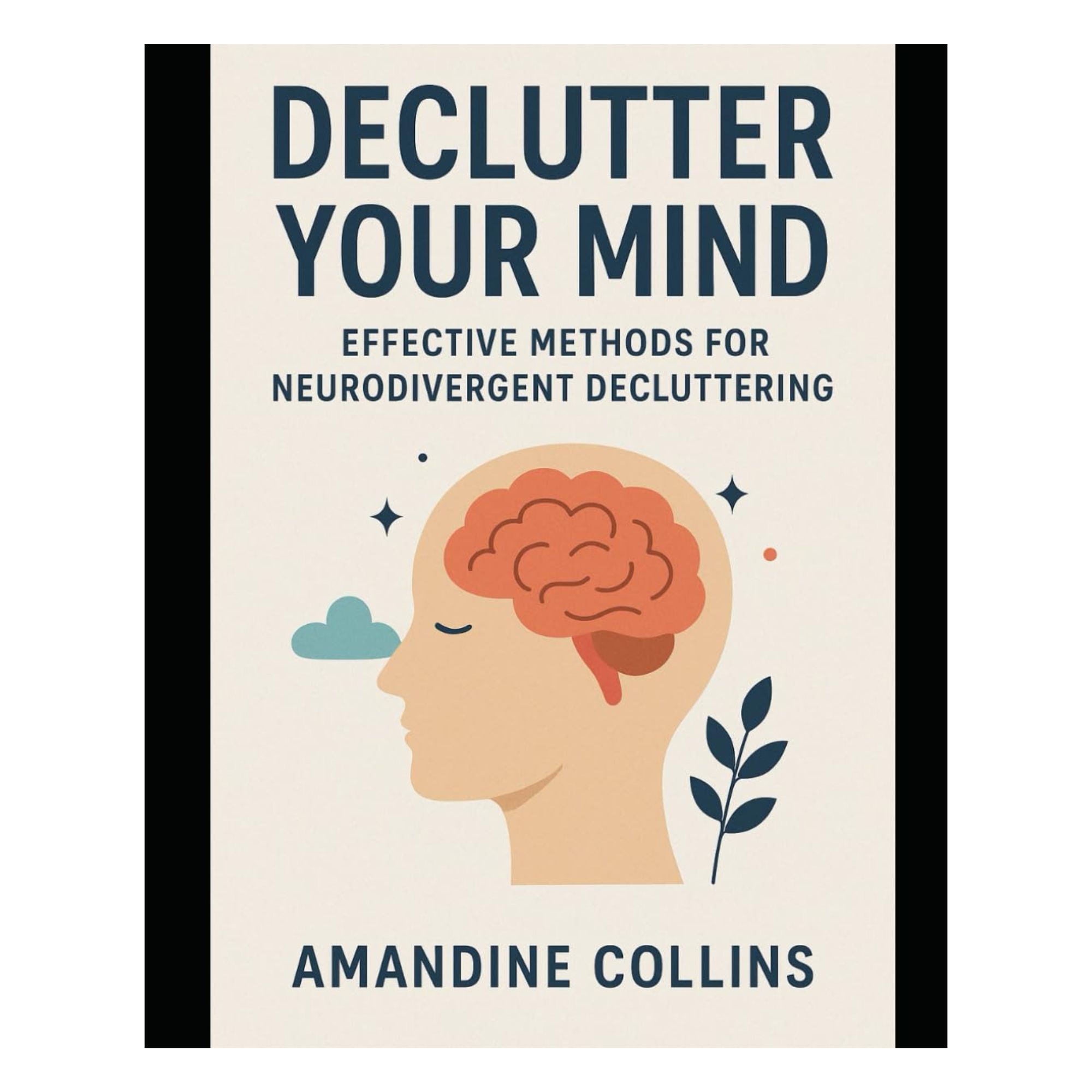 declutter your mind book cover