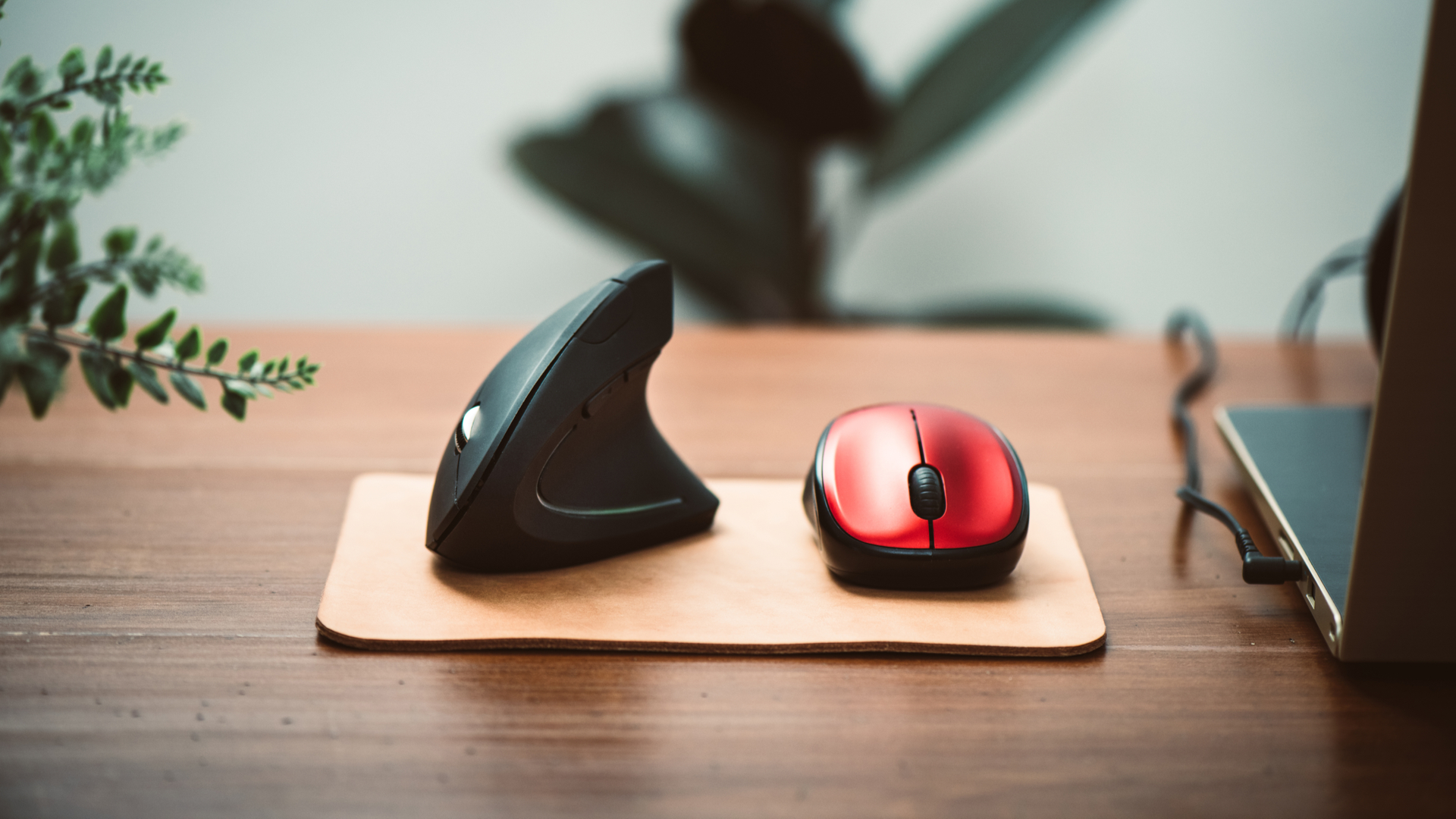 The Microsoft Sculpt Touch Mouse Review - A Great Scrolling