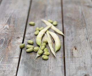 Lima beans pods and beans on a wooden table