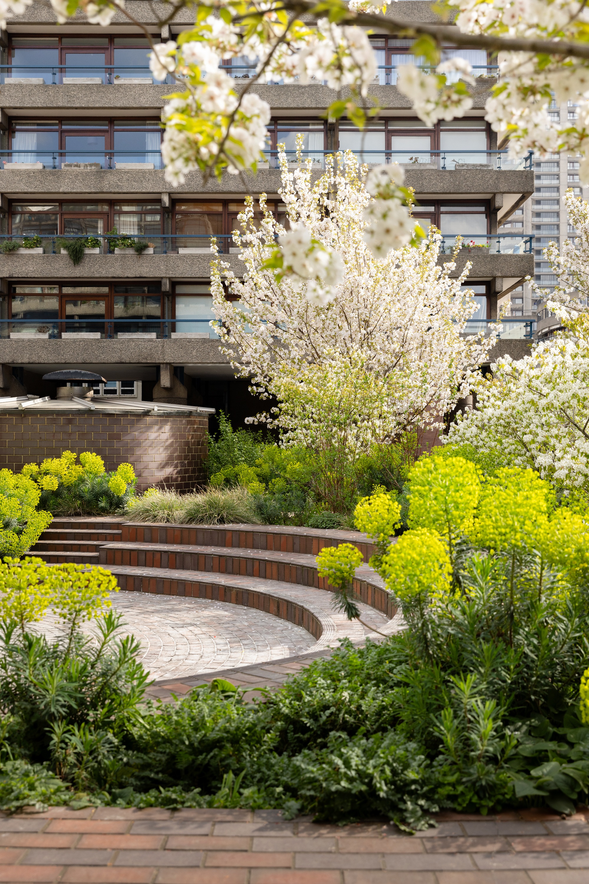 beech gardens at london's barbican building