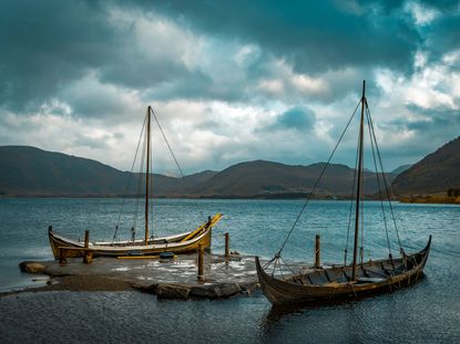 two docked viking boats 
