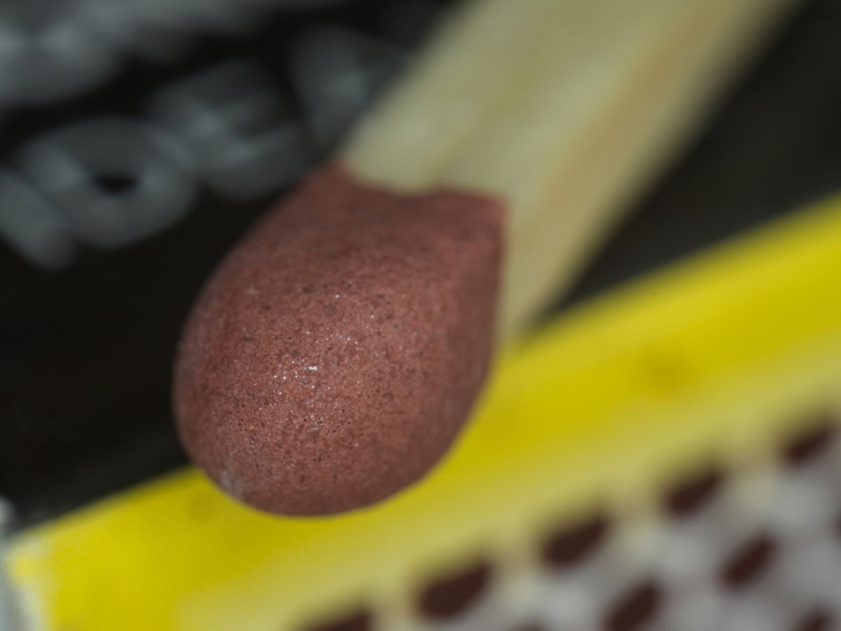 Sample macro photograph taken with the Mitakon 55mm f/2.8 1-5x Macro lens on the Hasselblad X2D II 100C