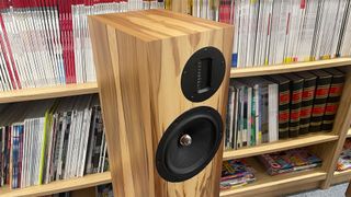 ProAc D20R floorstanding speaker in front of bookcase