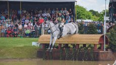 Austin O&rsquo;Connor and Colorado Blue jump into The Lake at Badminton Horse Trials 2025.