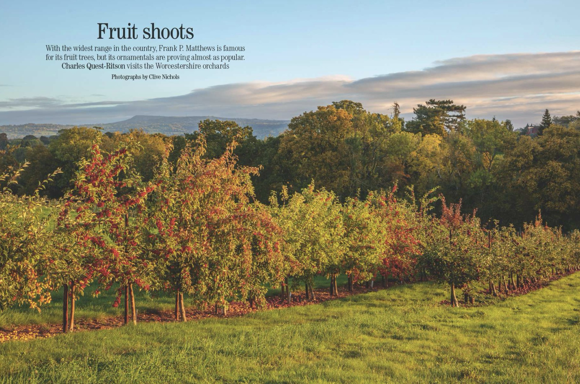 Spread from Country Life October 28, 2026