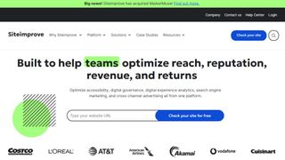 Website screenshot from Siteimprove (November 2024)