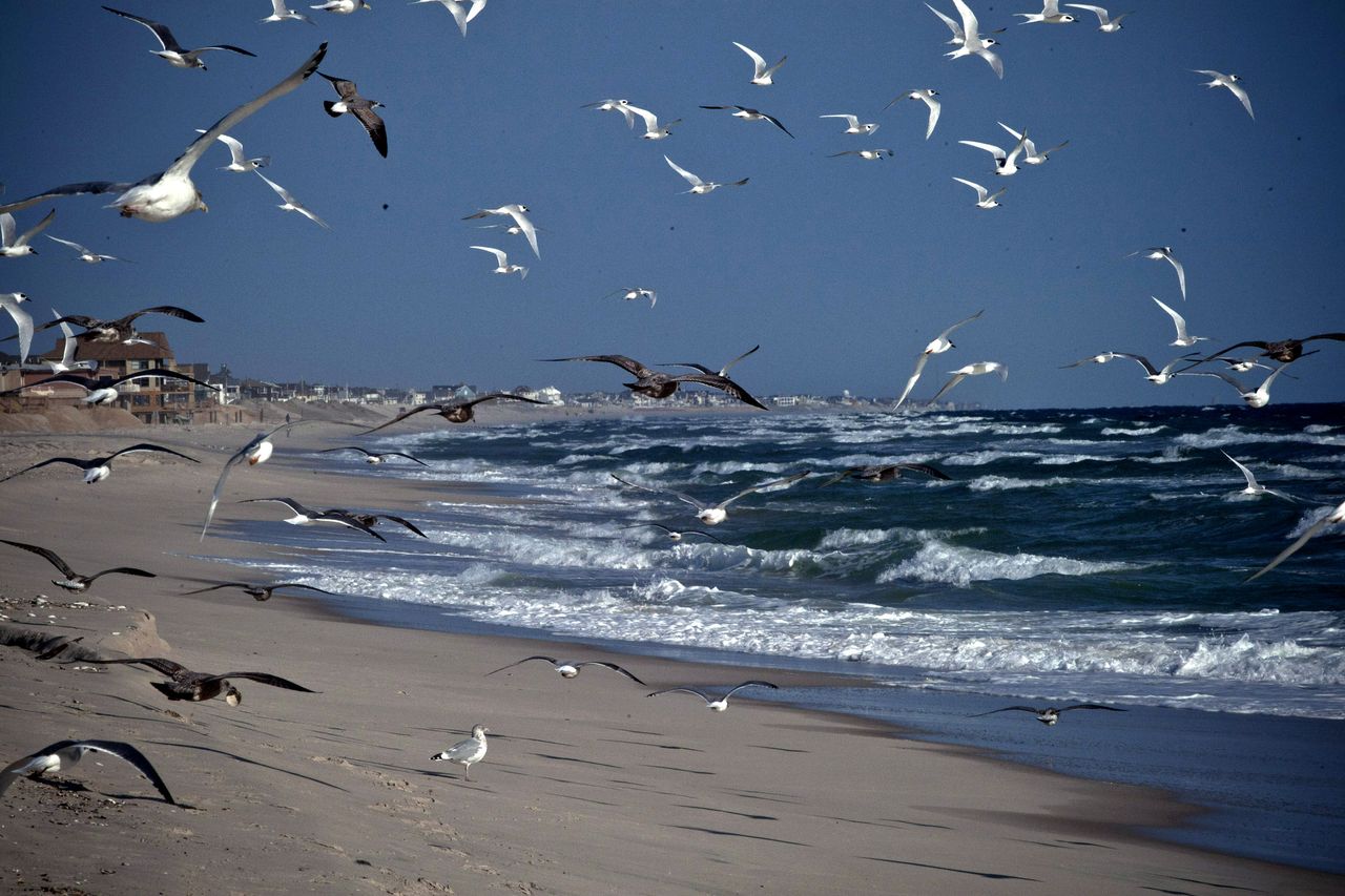 Maine coast