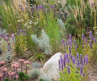 planting scheme from garden designer Emilie Bausager