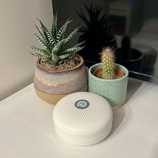 a dreamegg sound machine on a white worktop with two succulents in the background