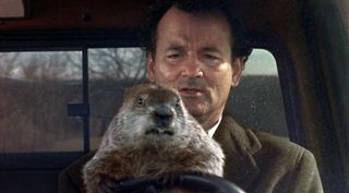 bill murray sitting with a groundhog on his lap in Groundhog Day