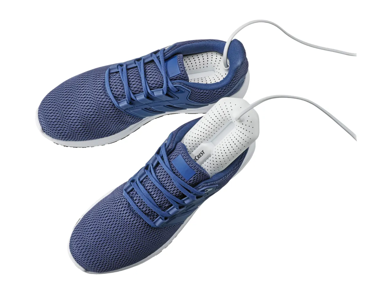 Electric Shoe Dryer
