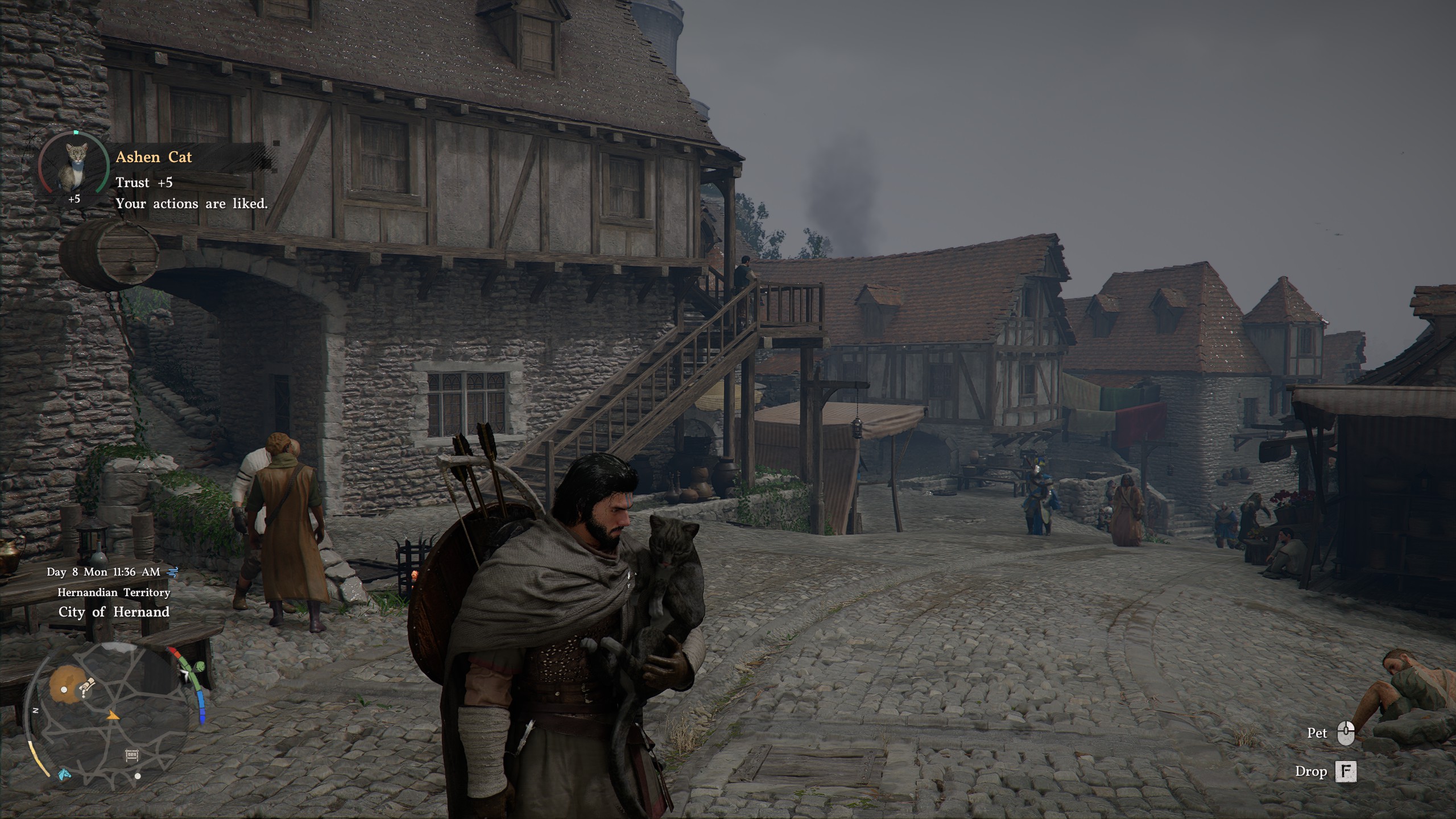 Crimson Desert pets - Cat