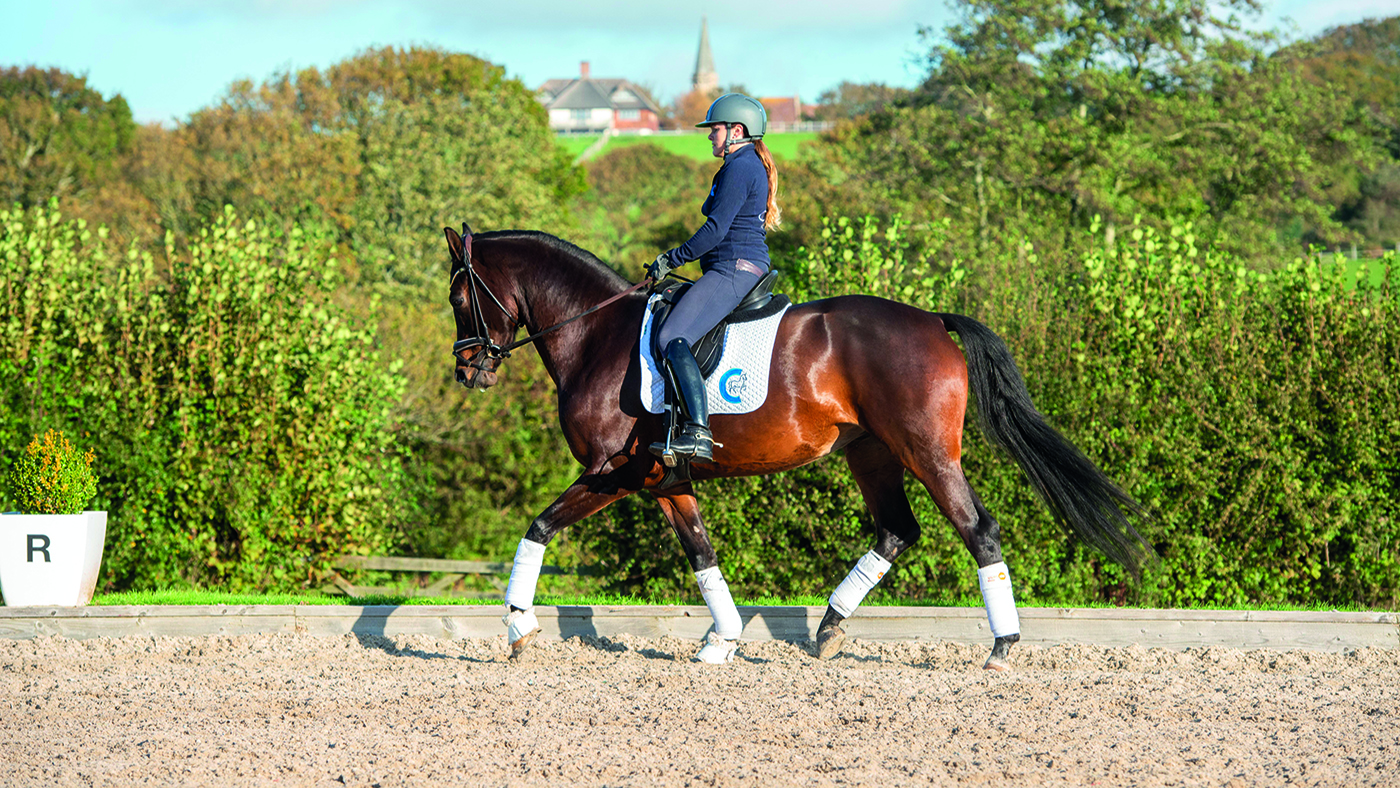 Photos for H&amp;amp;H training series. Rider is Georgie Guest please credit Georgie Guest Dressage when possible