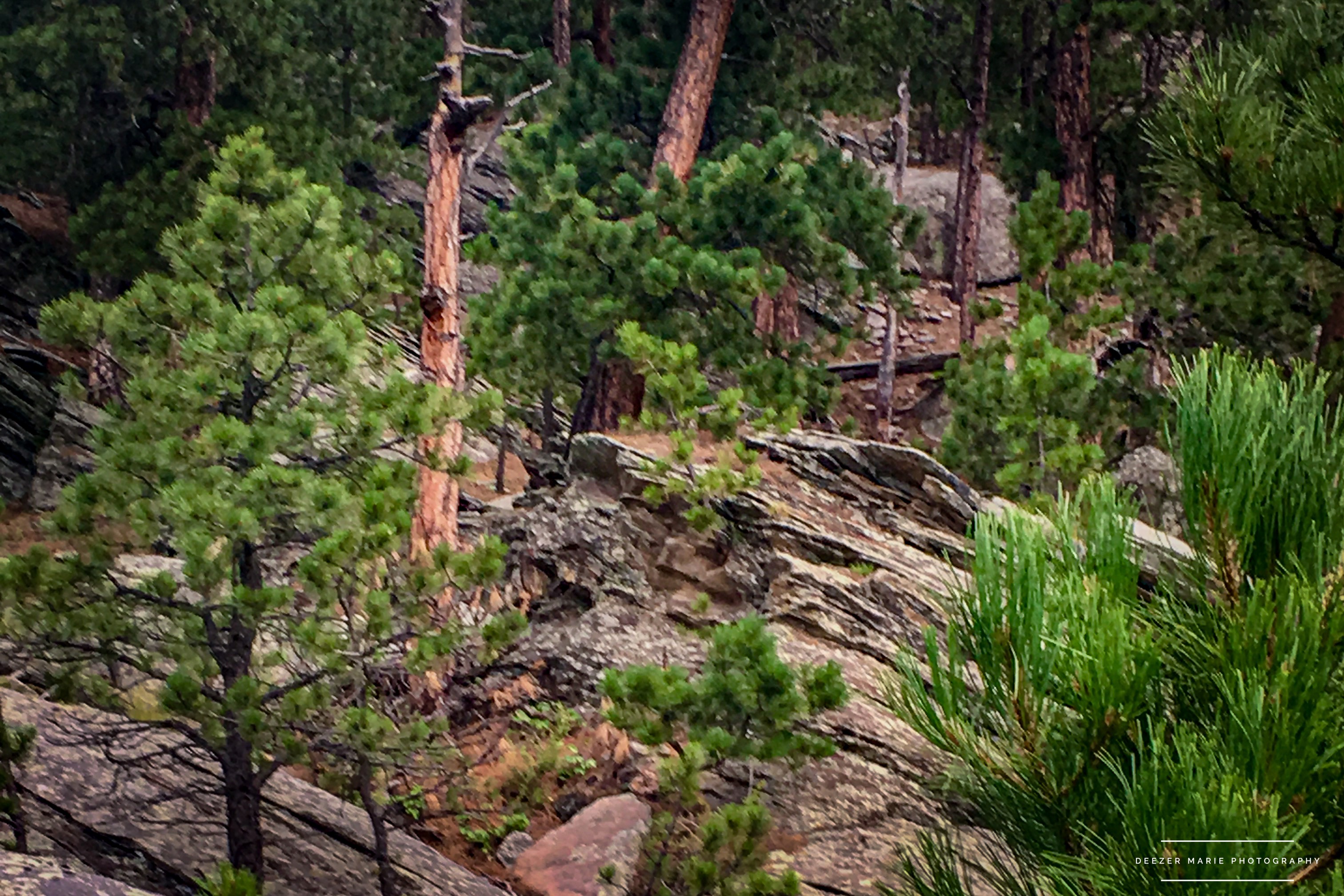 GuruShots - March 2026