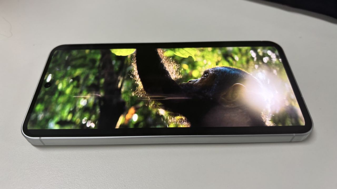 Watching a nature documentary on the Galaxy A56