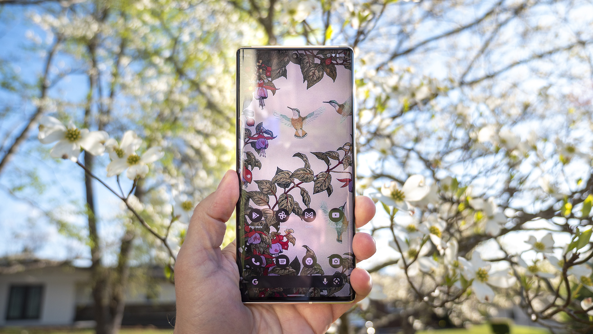 Pixel 6 Pro with spring flowers in the background