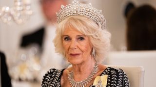 Camilla, Queen Consort attends a State Banquet at Schloss Bellevue