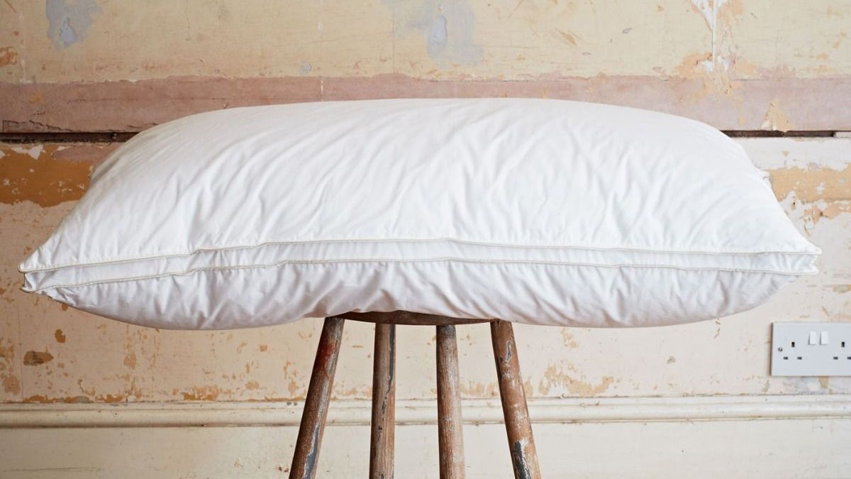 Down vs memory foam vs feather vs latex pillows what's the difference