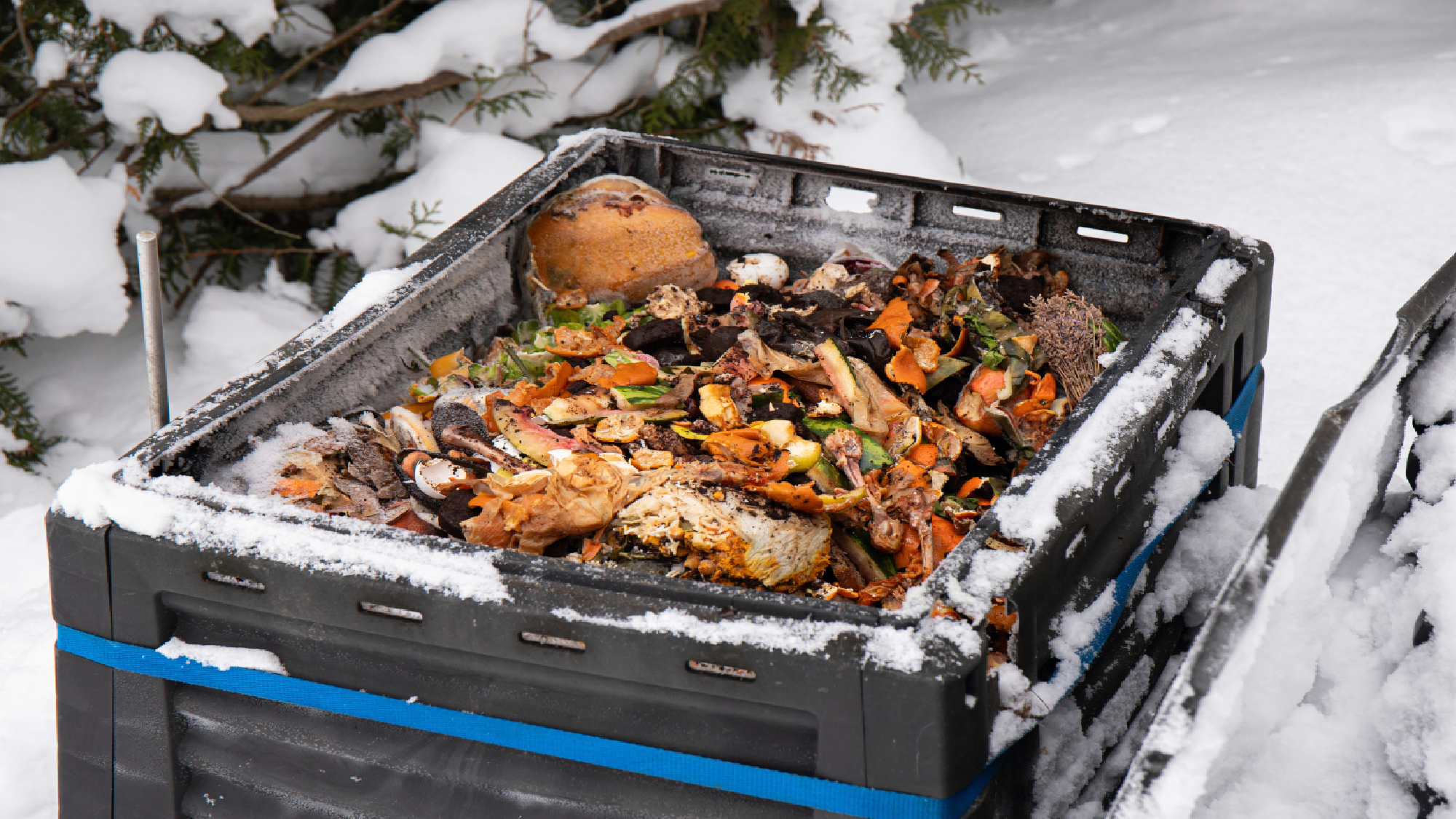 Winter composting