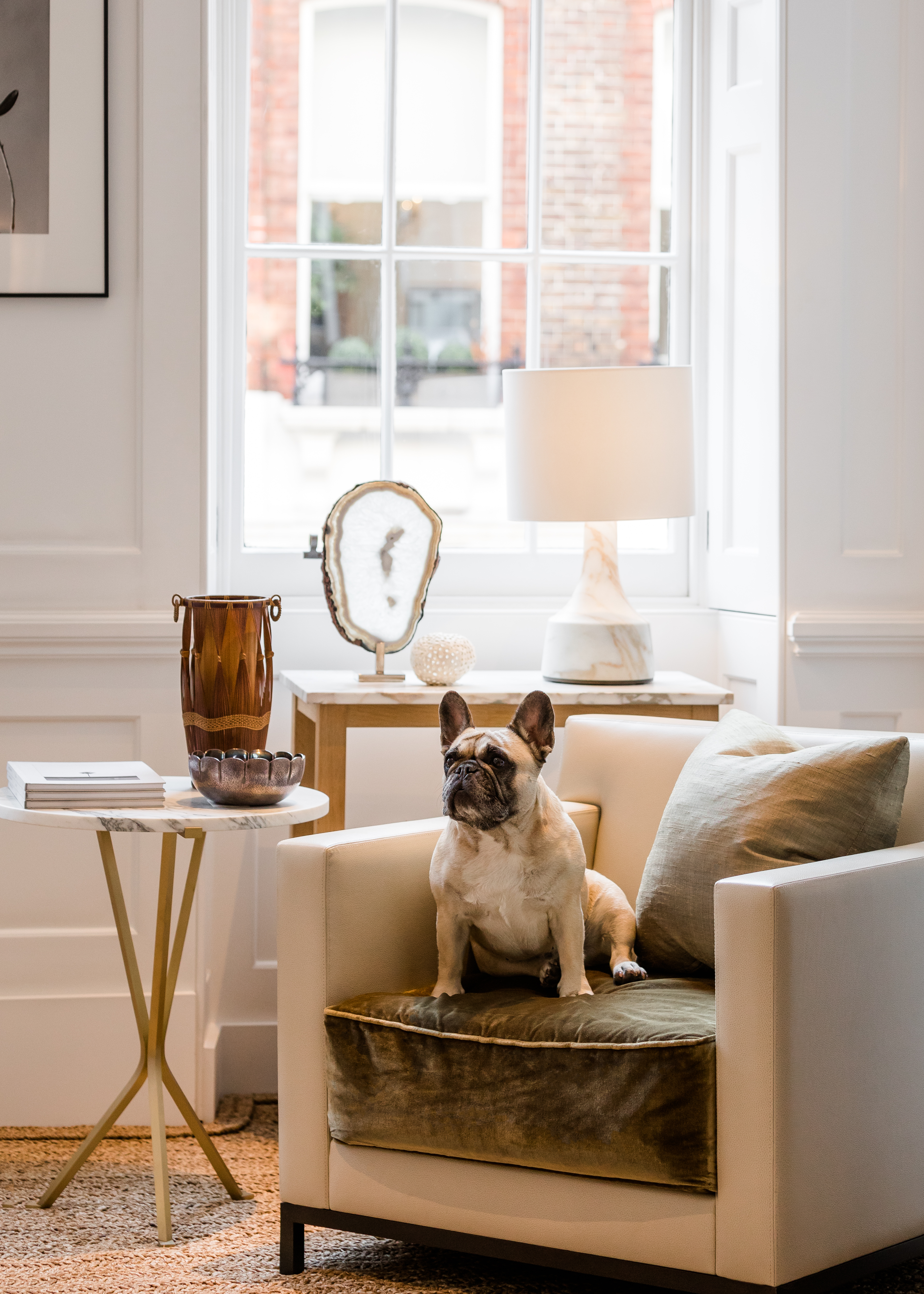 Isabel Ettedgui's dog
