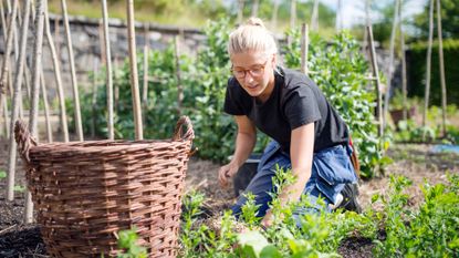 woman gardening in the sun and trying some upcycled garden ideas