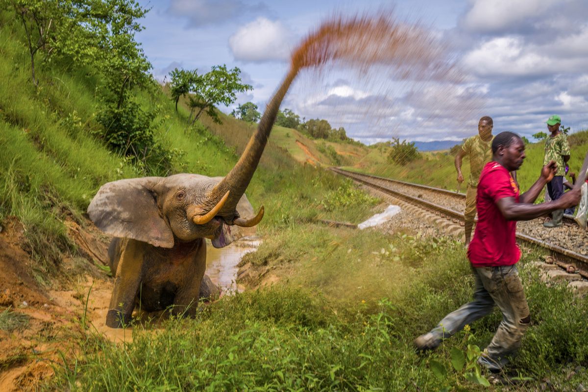 Prince Albert II of Monaco Foundation 2023 Environmental Photography Award