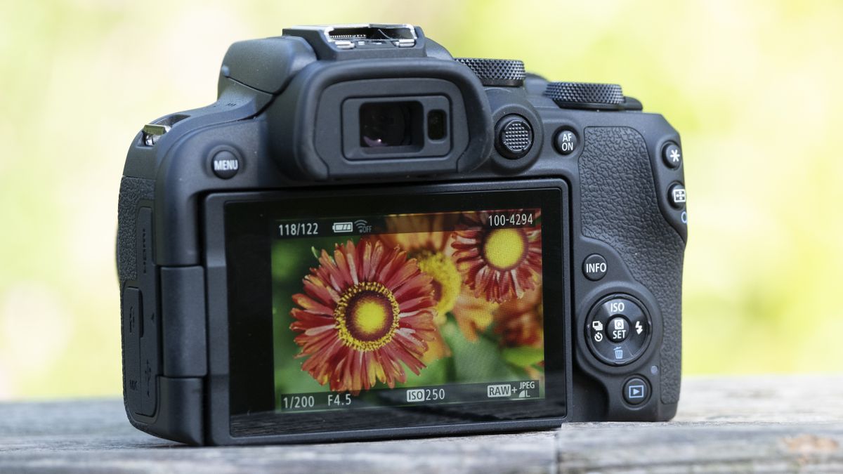 The Canon EOS R10 camera sitting on a wooden bench