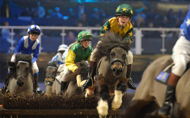 Shetland Pony Grand National