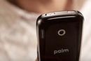 Palm mobile
