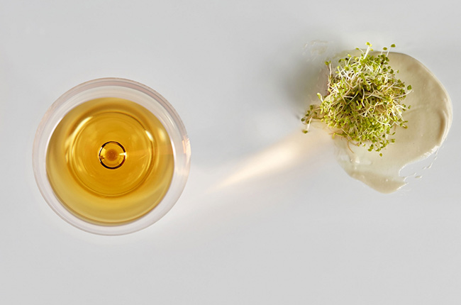 Pairing Spanish wine and food.