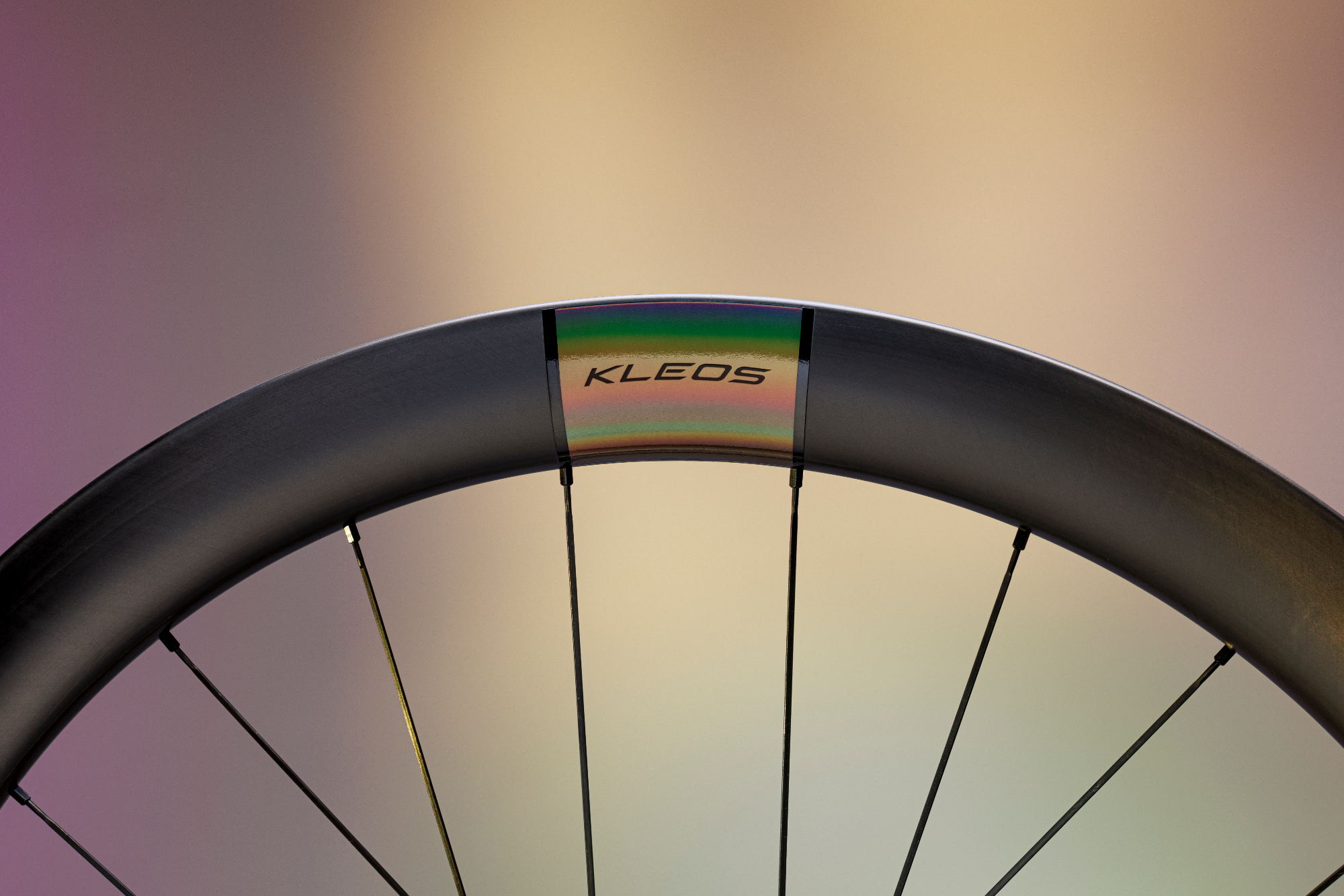 Miche Kleos wheel