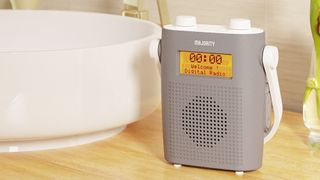 Majority Eversden DAB radio