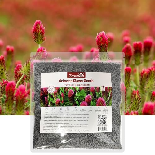 2lb Crimson Clover Seeds Ground Cover Crop - Annual Trifolium Incarnatum