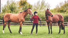 Chloe Humphries With former racehorses Solo And Mr Hudson