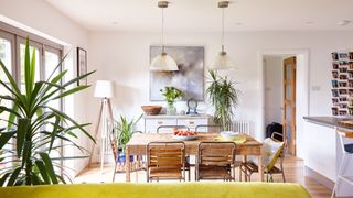 Bright open plan dining area with wooden table and plants