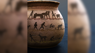 Artist illustration of the findings of the new studies. An ancient pot is depicted in the foreground and covered in a series of drawings illustrating the lifestyles of ancient hunter-gatherers and farmers
