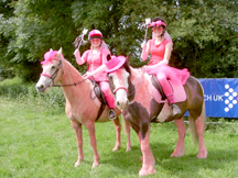 pink_horse_2.jpg