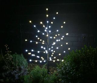 garden trees lit up for Christmas