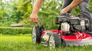 lawn mowing mistakes: Troy-Bilt TB100 in use