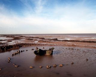 Seahenge, a bronze age timber wooden circle at Holme next the sea North Norfolk