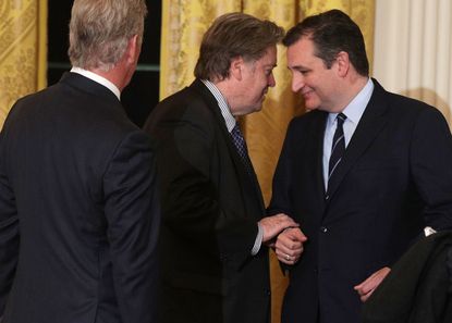 Ted Cruz wants the GOP to ignore the Senate parliamentarian