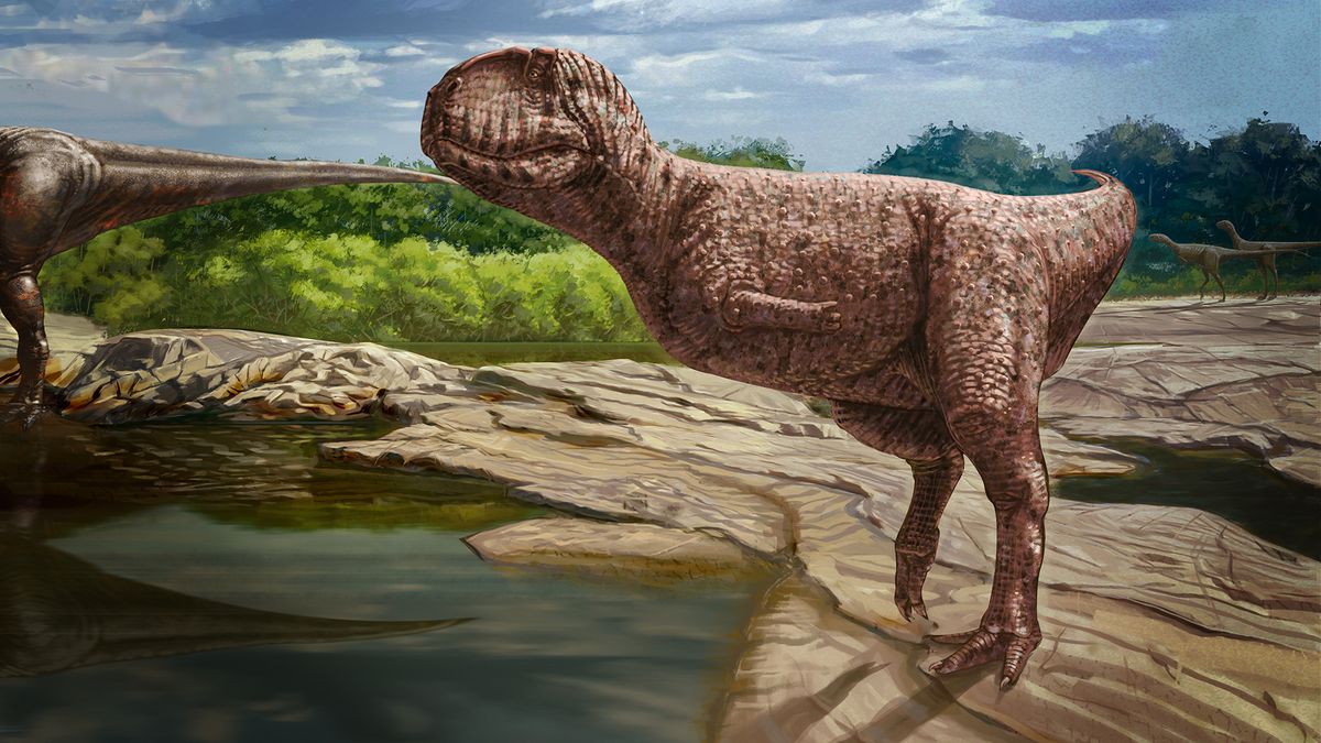 A newly discovered, as-yet unnamed abelisaurid cautiously approaches a watering hole, in this detail from an artistic representation of the ecosystem of the Bahariya Oasis in Egypt&#039;s Sahara Desert approximately 98 million years ago.