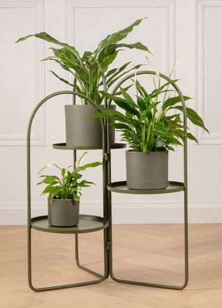 planters with peace lilies