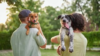 Two dog owners holding dogs