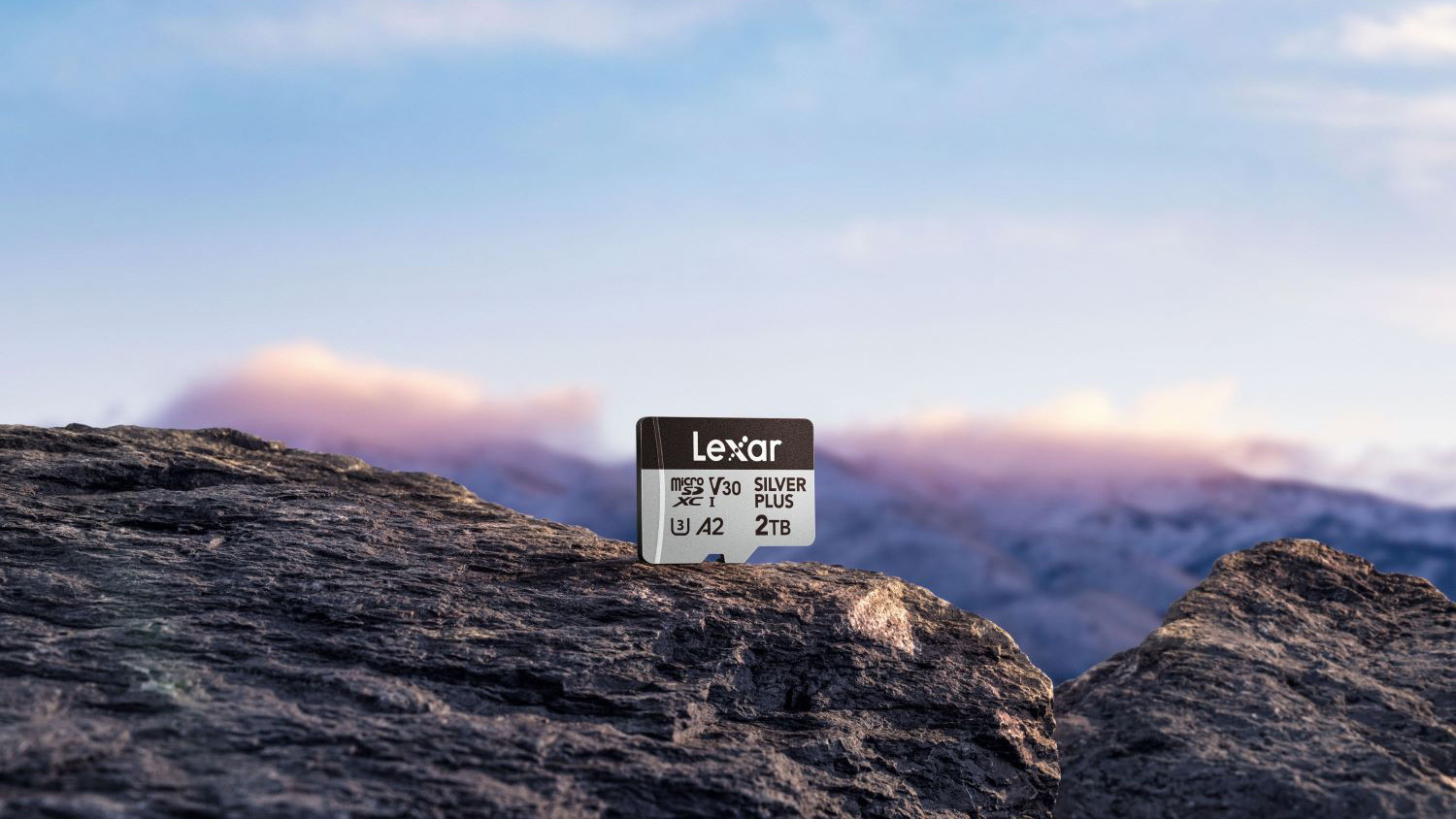 Lexar Professional SILVER PLUS microSDXC UHS-I Card