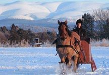 Marigoldsleigh1.jpg