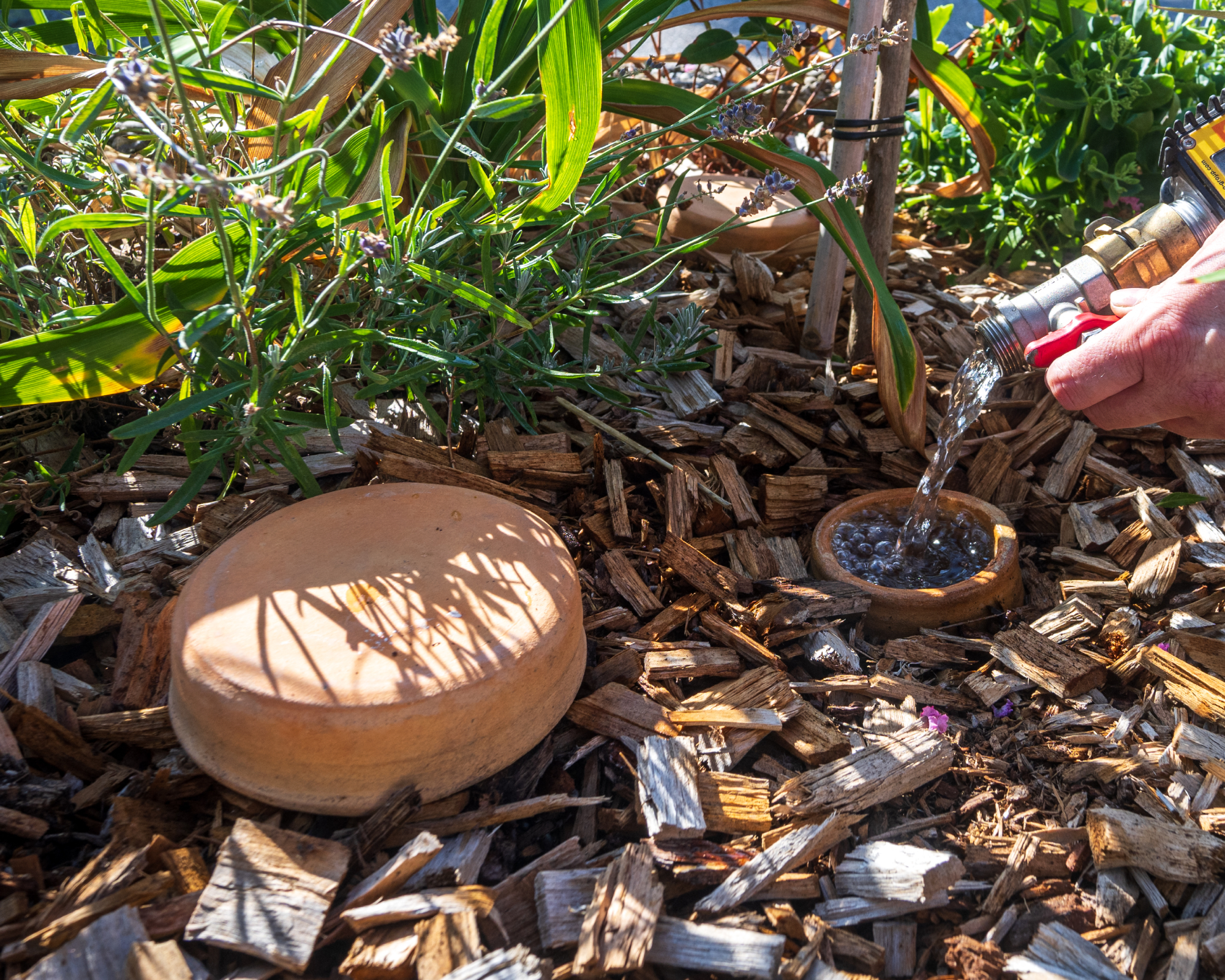 A municipal worker fills an oya pot with water