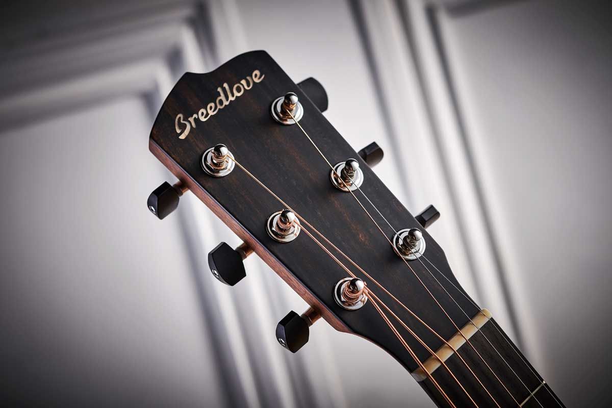 Breedlove Concertina CE